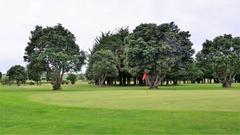 Manaia GC (1)