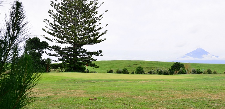 Manaia GC (3)