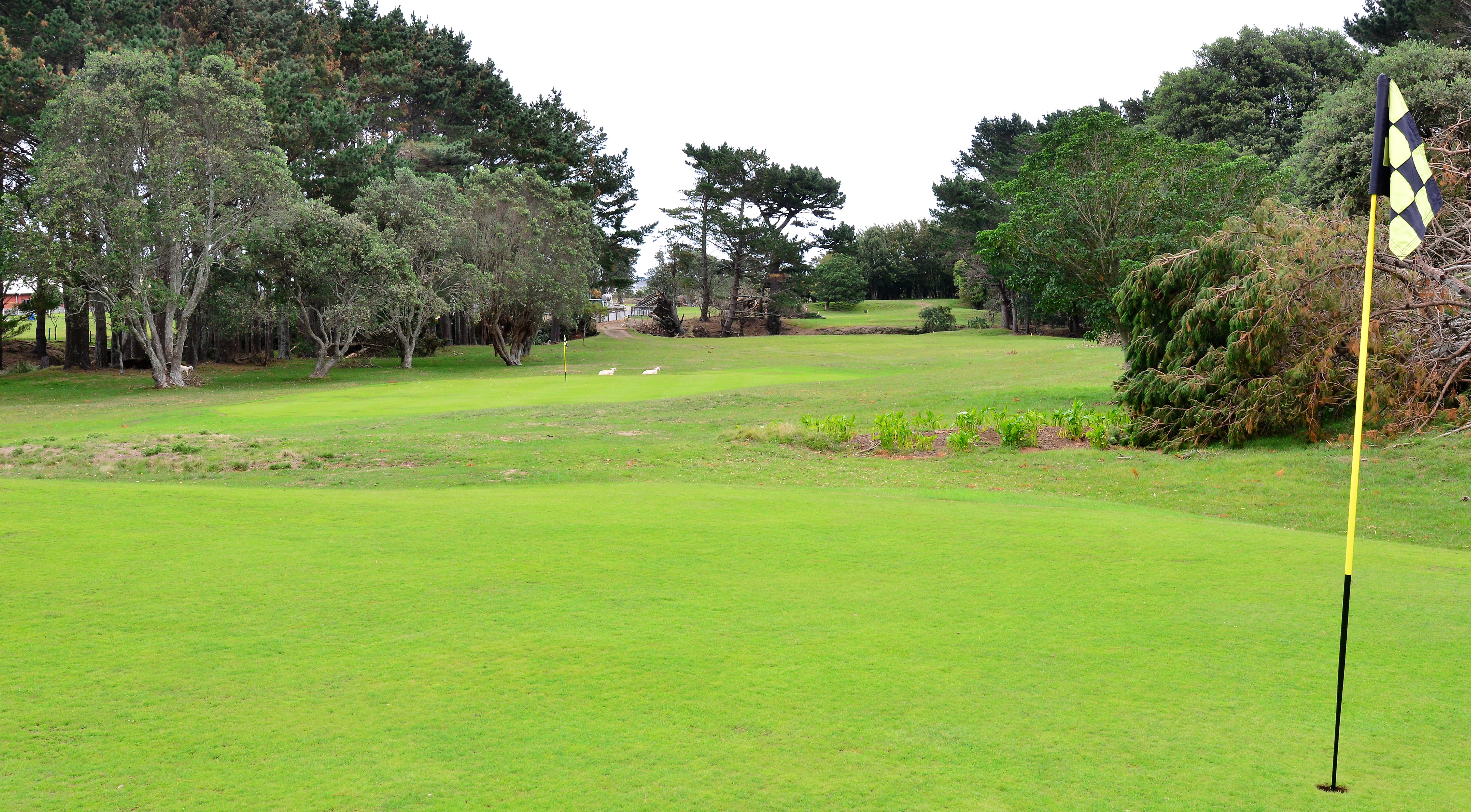 Opunake GC (2)