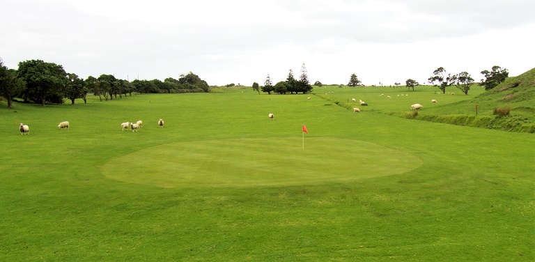 Patea GC (5)